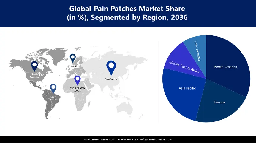 Pain Patches Market Size